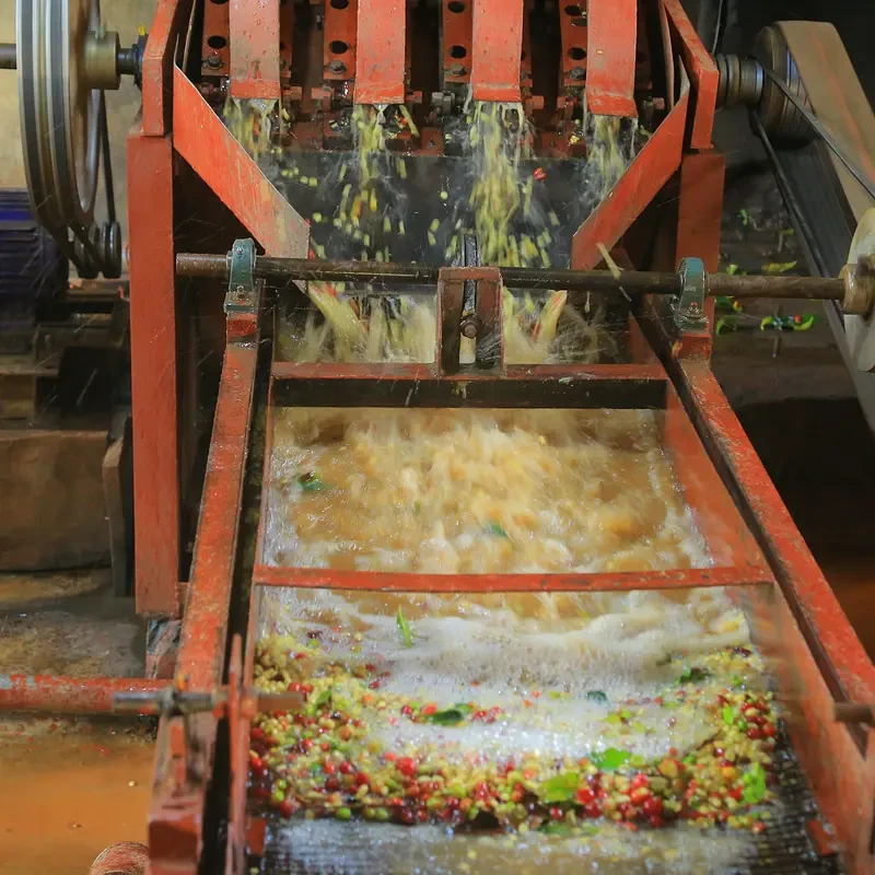 Fogge, washed G2 - photo 2