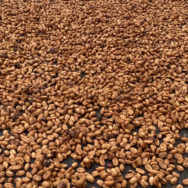 UDAINI ALHAIMH - photo 7