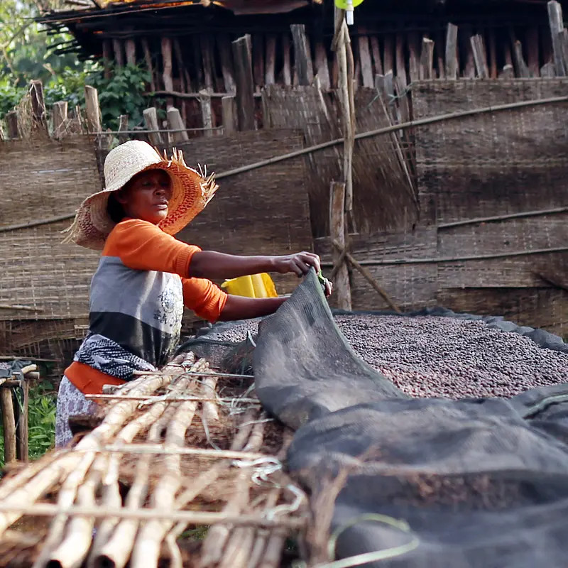 Natural Grade - photo 6