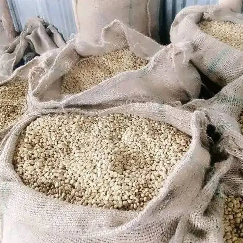 Kolla Bulcha - photo 1