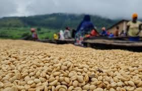 YIRGACHEFFE - photo 3