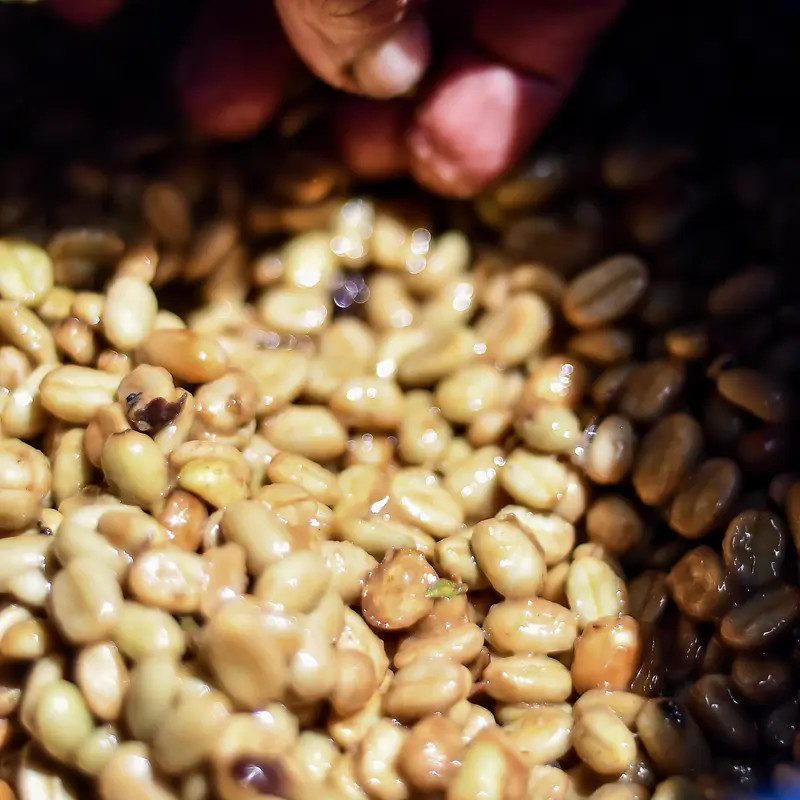 Natural Grade - photo 9