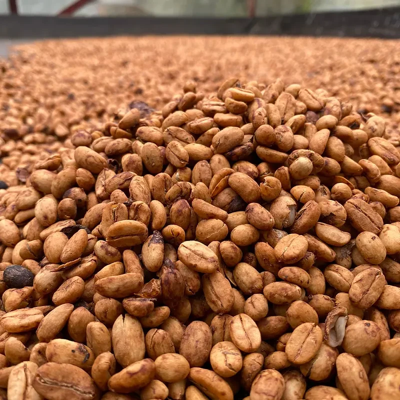 UDAINI ALHAIMH - photo 6