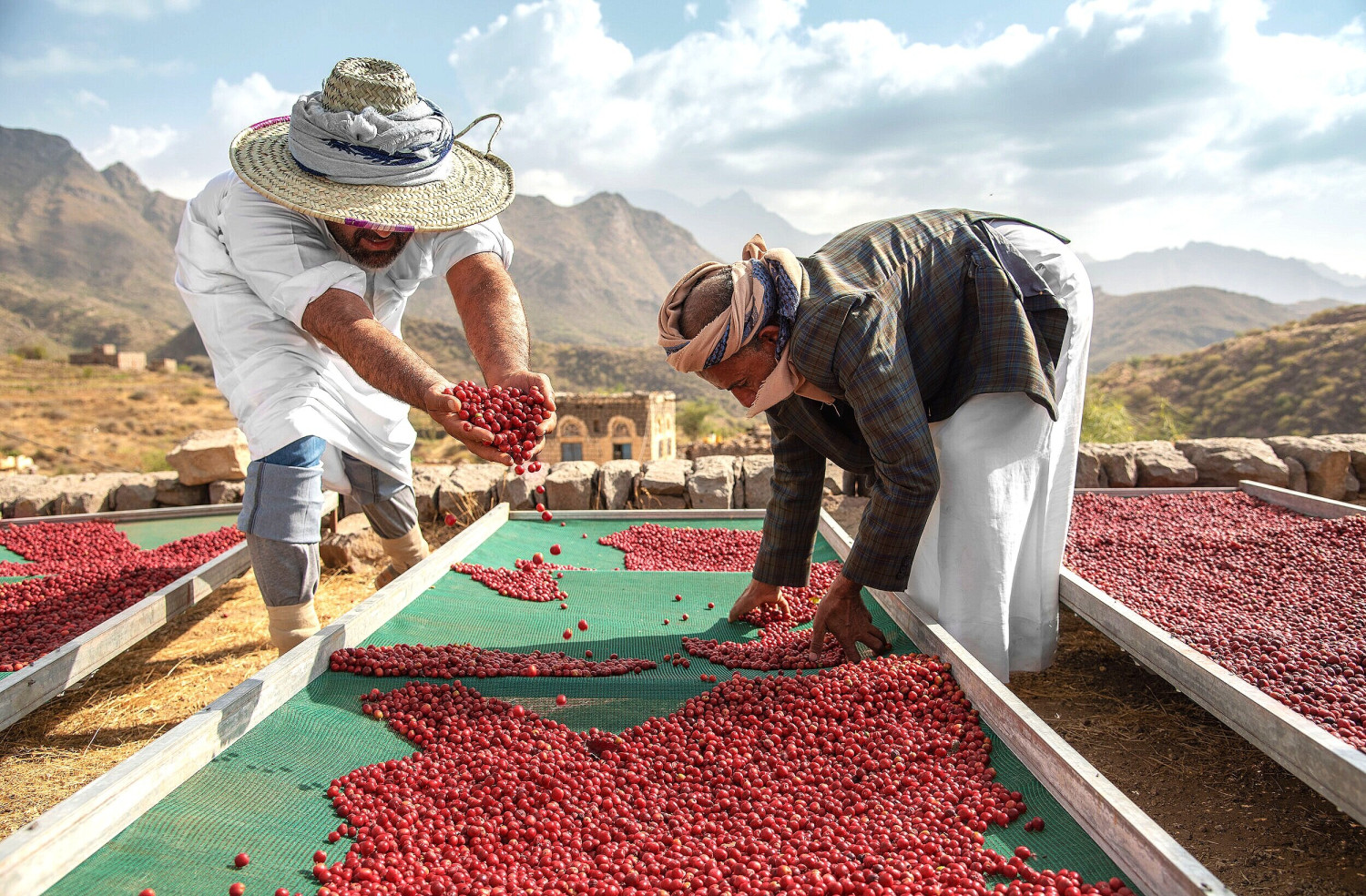 Himi coffee - photo 5