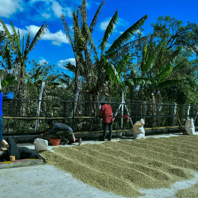 UDAINI ALHAIMH - photo 2